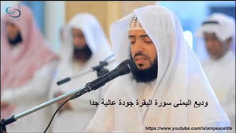 Best Recitation of Surah Al Baqarah By Wadi Al Yamani