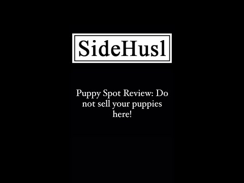 PuppySpot Review: It is a no-cost advertising service for breeders but it has a pile of complaints.