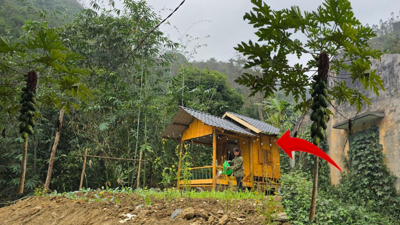 Молодая женщина-офицер построила собственную ферму, выращивая овощи и установив электросистему.