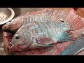 Fresh Tilapia Fish Cutting Skills In Bangladesh Fish Market | #FishCutting