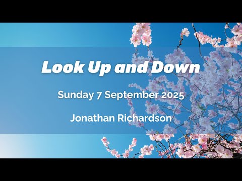 Look Up and Down