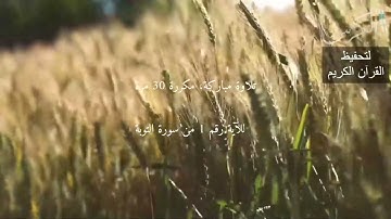 الآية رقم 1 من سورة التوبة - مكررة 30 مرة