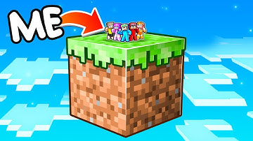 Minecraft But We’re On ONE HUGE BLOCK!