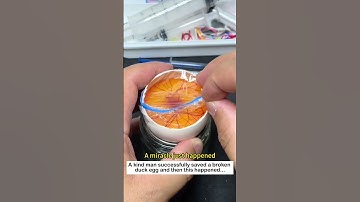 Save a duck egg  #lovestory #animals #cute #rescue #pets #love#duck #egg #animalfriendshipgoals