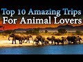 Top 10 amazing trips for animal lovers  travel nfx