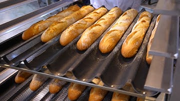 IBIE INVITATION - Discover the new M-NS Divider