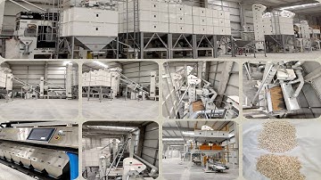 High-Quality Seed Processing Machinery for Sale - Mmctech, Inc