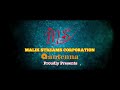 MOTTA SHIVA KETTA SHIVA TRAILER | WORLDWIDE RELEASE MALIK STREAMS ANTENNA | IN CINEMAS FROM FEB 17