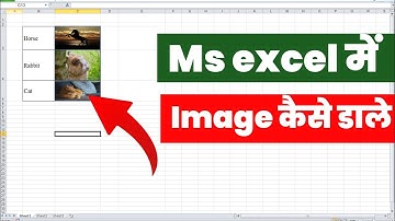 How to insert image in excel cell | Excelme Photo kaise dale