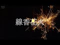 線香花火 KANA-BOON《弾き語りカバー》