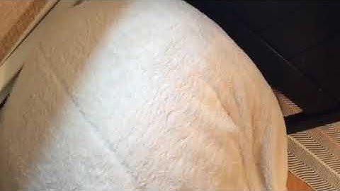 My VHS Collection (as of 10/27/18) Part 33