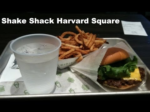 shake-shack,-harvard-square,-cambridge,-ma-哈佛漢堡包,-劍橋城,