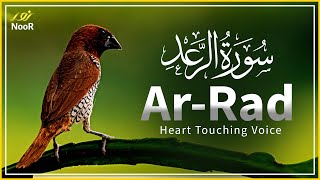 Most Calming Quran | Recitation of Surah Ar Rad | Noor