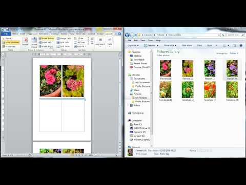 Drag and drop a picture into Word Document (Easily - WITHOUT picture distortion).