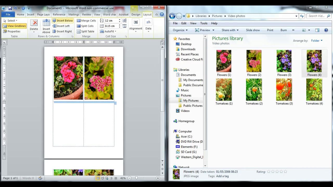 pictures to insert into word document