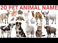 20 Pet Animals Names 🐶 |Easy Learning In Hindi &amp; English | Kids Learning Video 