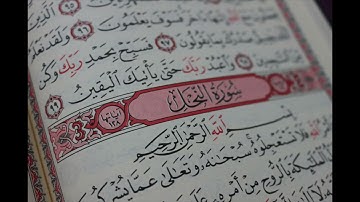 سورة النحل بصوت القارئ برهيزكار