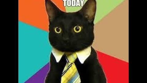 Load Custom Dataset pytorch (Worst Video ever)