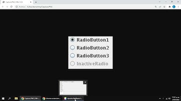 El paquete Swing - La clase JRadioButton | GUI en Java