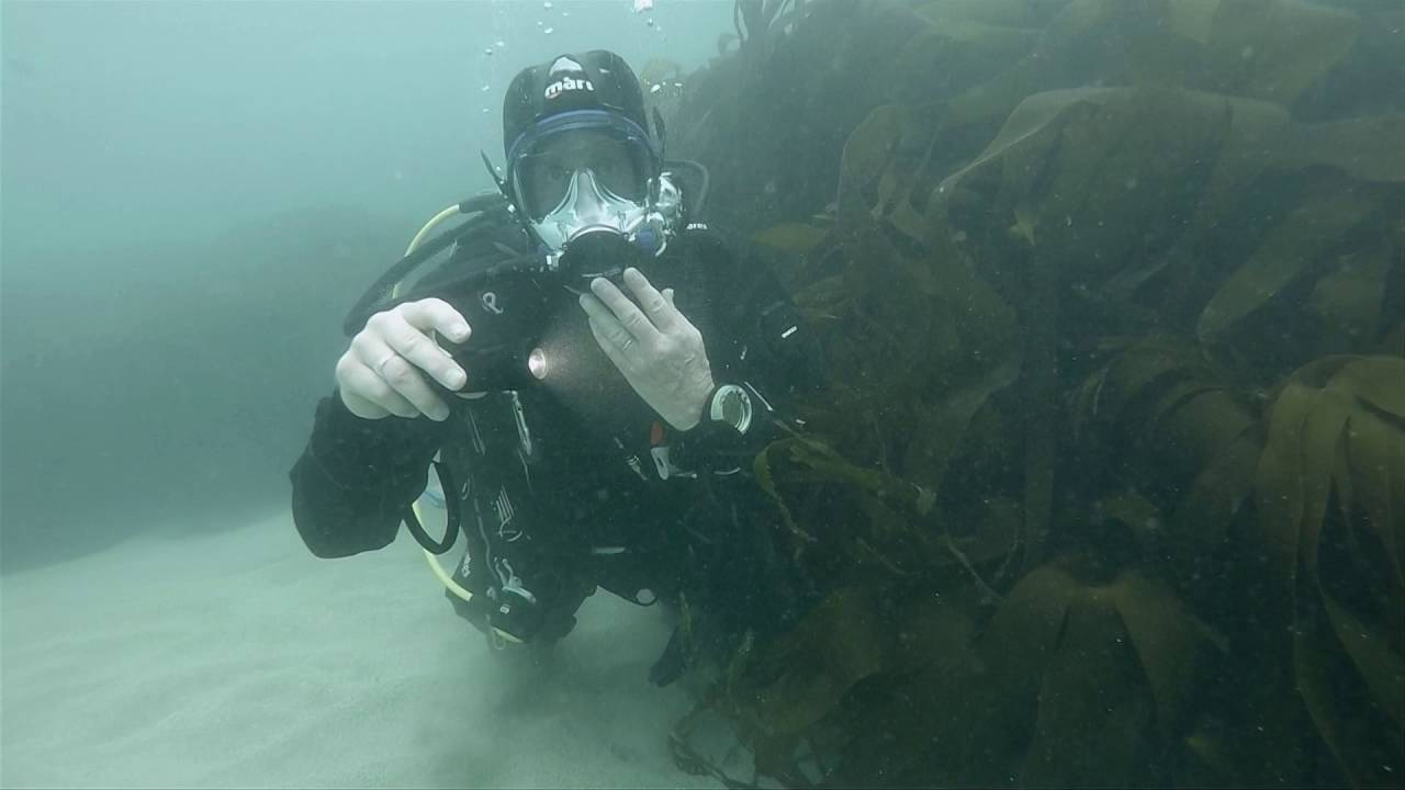 Scuba Diving Equipment Review: Tovatec Fusion 530 Torch