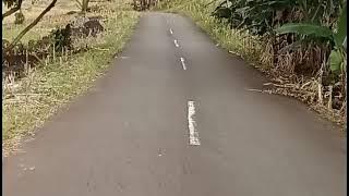 £%€😁😁😁MANNTIAAPPP JANGAN LUPA LIKE👍 &SUSCRIB🤩🤩🤩PEMANDANGAN INDAH DIATAS PUNCAK JELAJAHI WAWASANANDA.