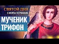 СВЯТОЙ МУЧЕНИК ТРИФОН / СВЯТОЙ ДНЯ