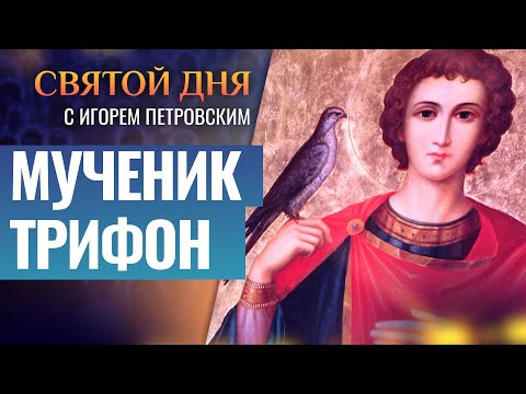 СВЯТОЙ МУЧЕНИК ТРИФОН / СВЯТОЙ ДНЯ