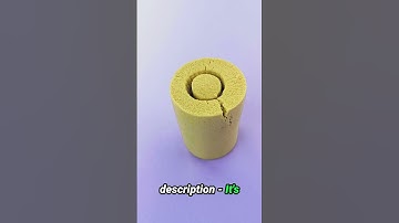 Stop Scrolling, Start Earning #Shorts #PassiveIncome