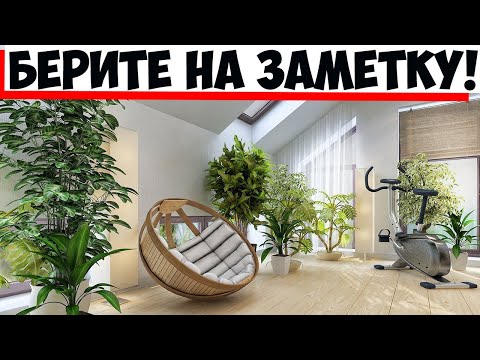 Видео: Семь роскошных деревьев, которые можно вырастить прямо в квартире!