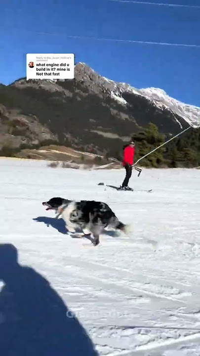 Overexcited dog goes skiing! ⛷️🐶 (@leoniglesi)
