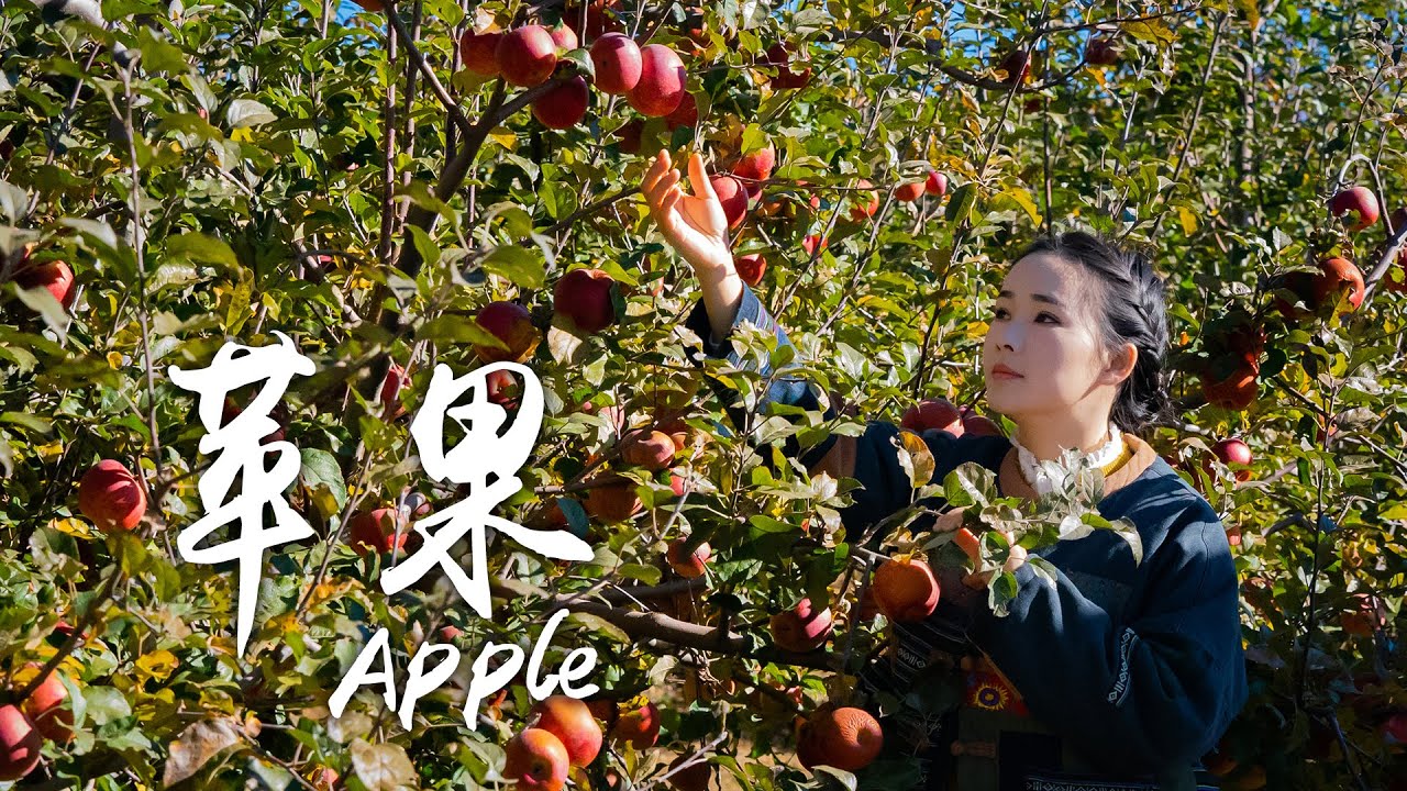 Карамельные яблоки «Один фрукт на место» — уродливые яблоки, которые настолько сладкие, что засах...