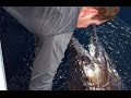 EPIC Panama Fishing Trip at Sport Fish Panama Island Lodge