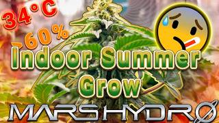 🌱 Summer Indoor Grow ☀️ OG Kush & Purple Oreoz F1 Week 6 of Flower | Mars Hydro & Living Soil🌱