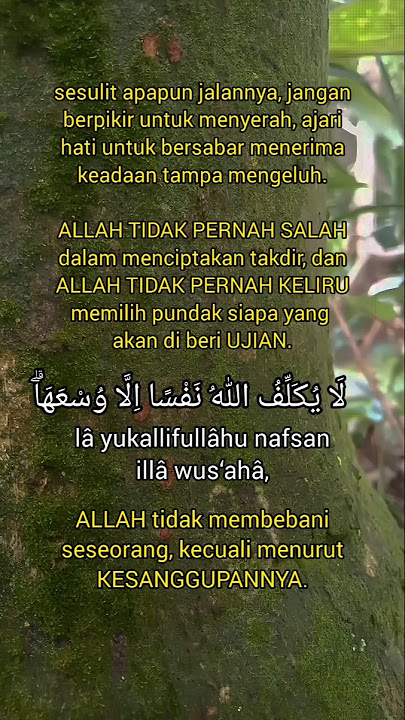 kata kata motivasi, kata kata bijak #katahatimotivasi