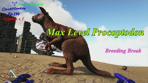Sp*Ark Ep 190: Max Level Procoptodon - Breeding Break