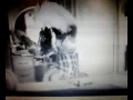 Geetha Hot Video
