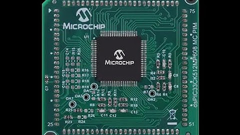 What is a Microchip?