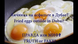 Дубай/Жарко и можно пожарить яйцо на асфальте?/Видео опровержение Дубай/Жарко и можно пожарить яйцо на асфальте?/Видео опровержение