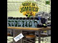 Made in Jamaica Riddim Mix (Full) Richie Spice, Alaine, Chris Marin, J Boog & more  x Drop Di Riddim