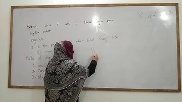 Science Class 7  Unit 1  Human Organ System  Digestive system