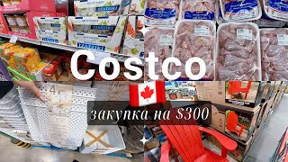 Цены на продукты в Калгари/ закупка на две недели #калгари #costco