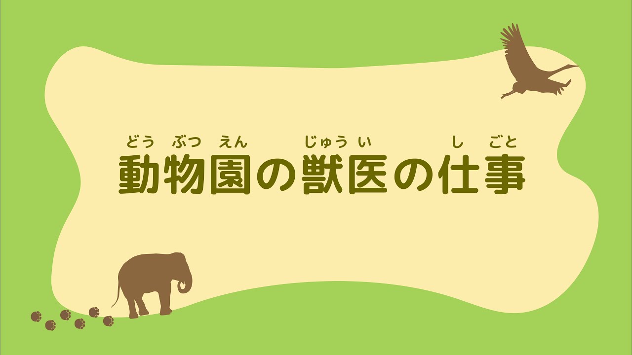 1 動物園の獣医の仕事 Youtube