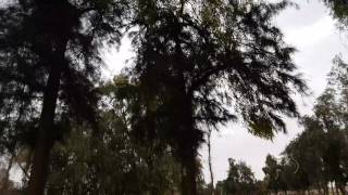 التصوير بجودة 4k وقت الأمطار screenshot 5