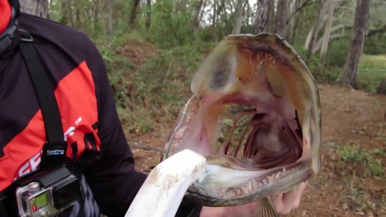 deep blue sea 3 Best of 2018