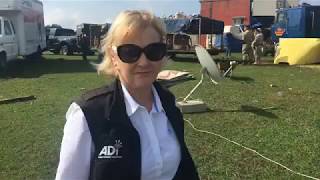 ADI Guatemala rescue: 3 lions collected from the first circus