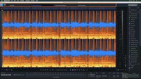 iZotope RX 8 101: RX 8 - The Video Manual  - Interface