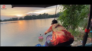 Câu Đài | Câu Cá Tự Nhiên tại Long An | Thế Giới Câu Đài TV