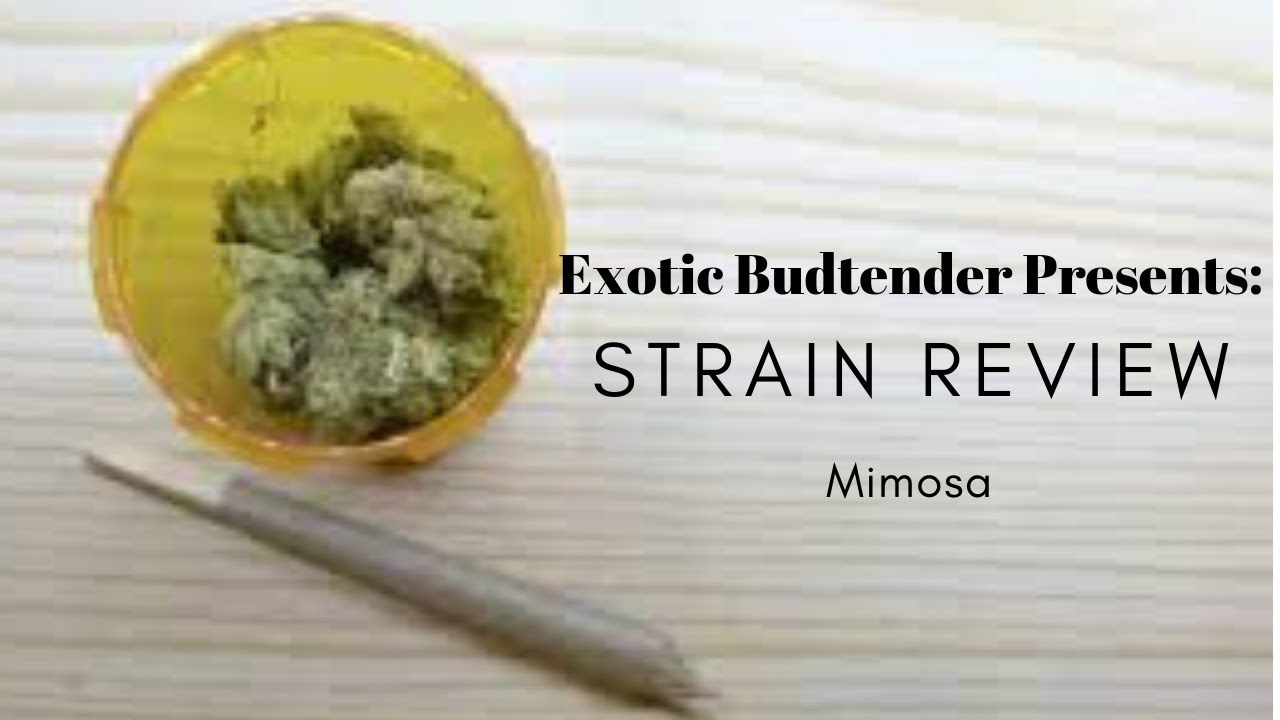 Exotic Budtender Strain Review: Mimosa