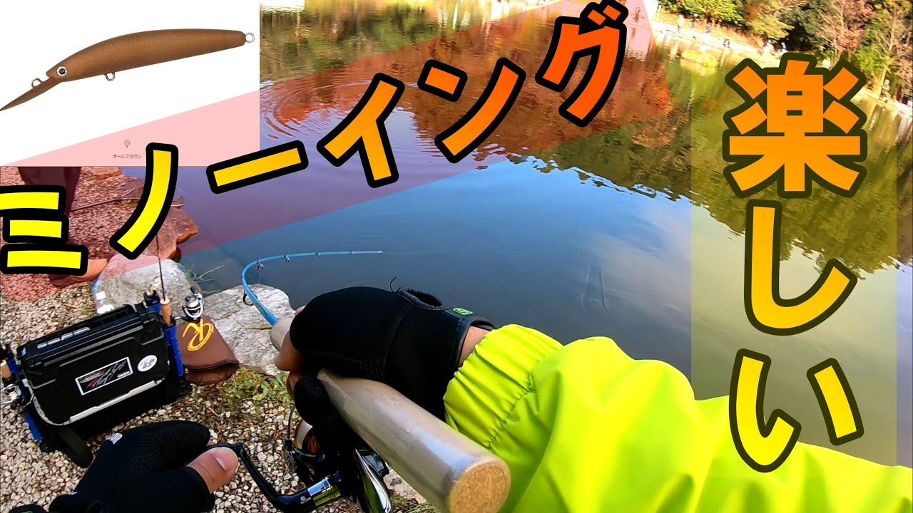 関西最大級のエリアトラウト 管理釣り場 春の朽木渓流魚センター ニジマス イワナ イトウ ヤマメなどなど 第３話 Youtube