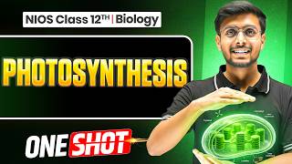NIOS Class 12th Biology Chapter 11 🔥 | Complete Photosynthesis | One Shot Revision screenshot 4